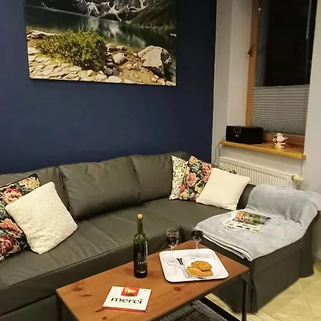 Mokka Silver Spa&ski Viva Maria Lejlighed Zakopane