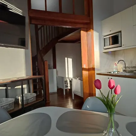 Mokka Silver Spa&ski Viva Maria