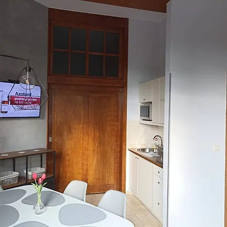 Mokka Silver Spa&ski W Kompleksie Viva Maria Z Parkingiem I Placem Zabaw * Закопане