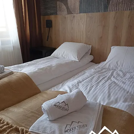 Mokka Silver Spa&ski Viva Maria Z Parkingiem Апартаменты Закопане
